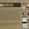 Nguru Collection - Image 11