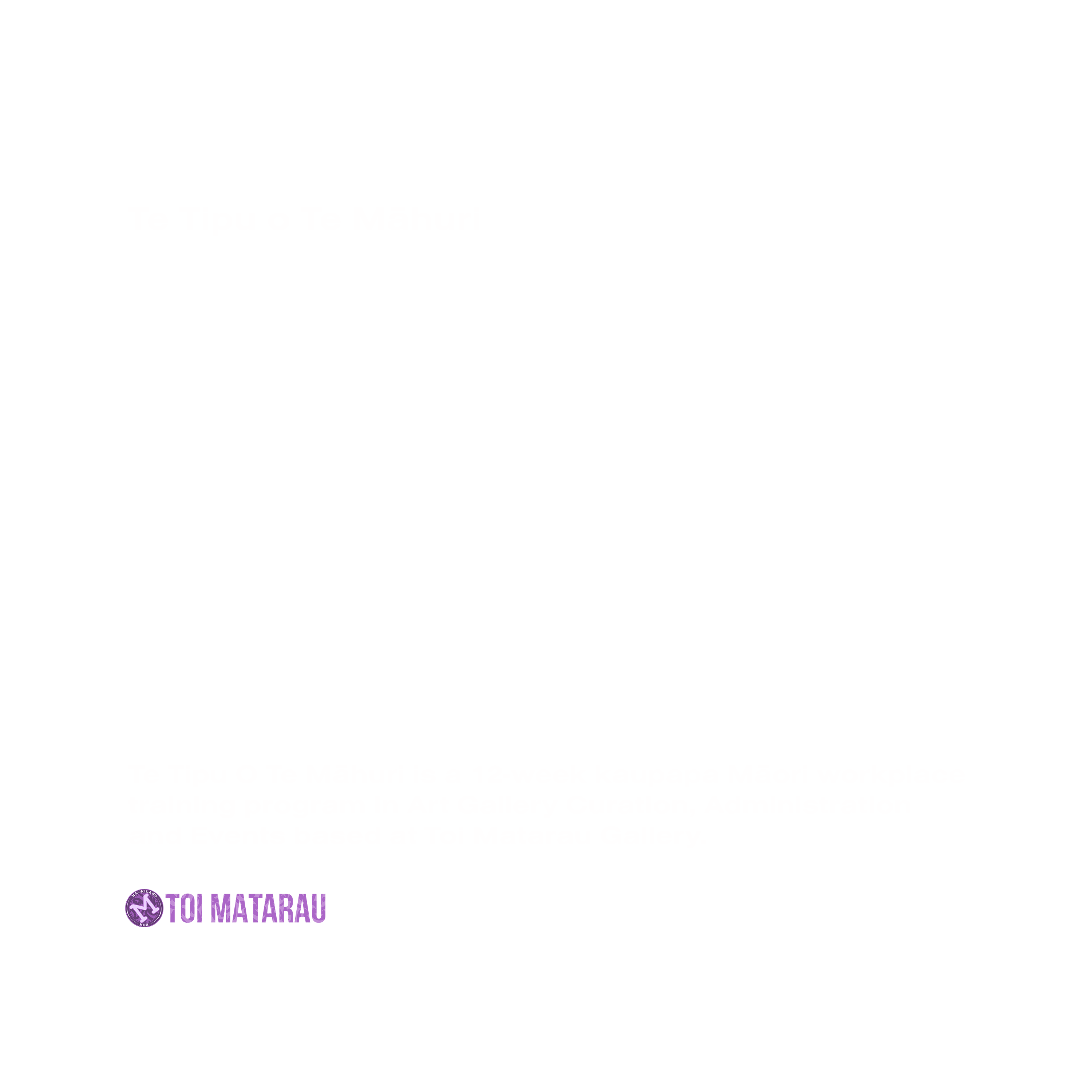 toimatarau_internship