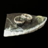 Tapawhāroa Ring - Image 3