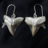 Niho Collection Earrings * - Image 2