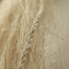 Whiri Moana - Image 6