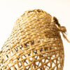 Kete Tāhora Series - Image 5