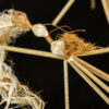 Ko Pīngao, ko Toheroa, koutou ko Raumoa Series - Image 8