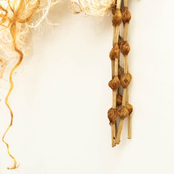 Ko Pīngao, ko Toheroa, koutou ko Raumoa Series - Image 5
