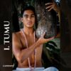 Tumu - Image 2