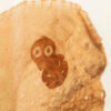 Ka tākiri ake ngā haeata o Tamanuiterā - Image 3