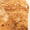 Ka tākiri ake ngā haeata o Tamanuiterā - Image 5