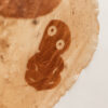 Ki te whenua i Te Rāwhiti - Image 3