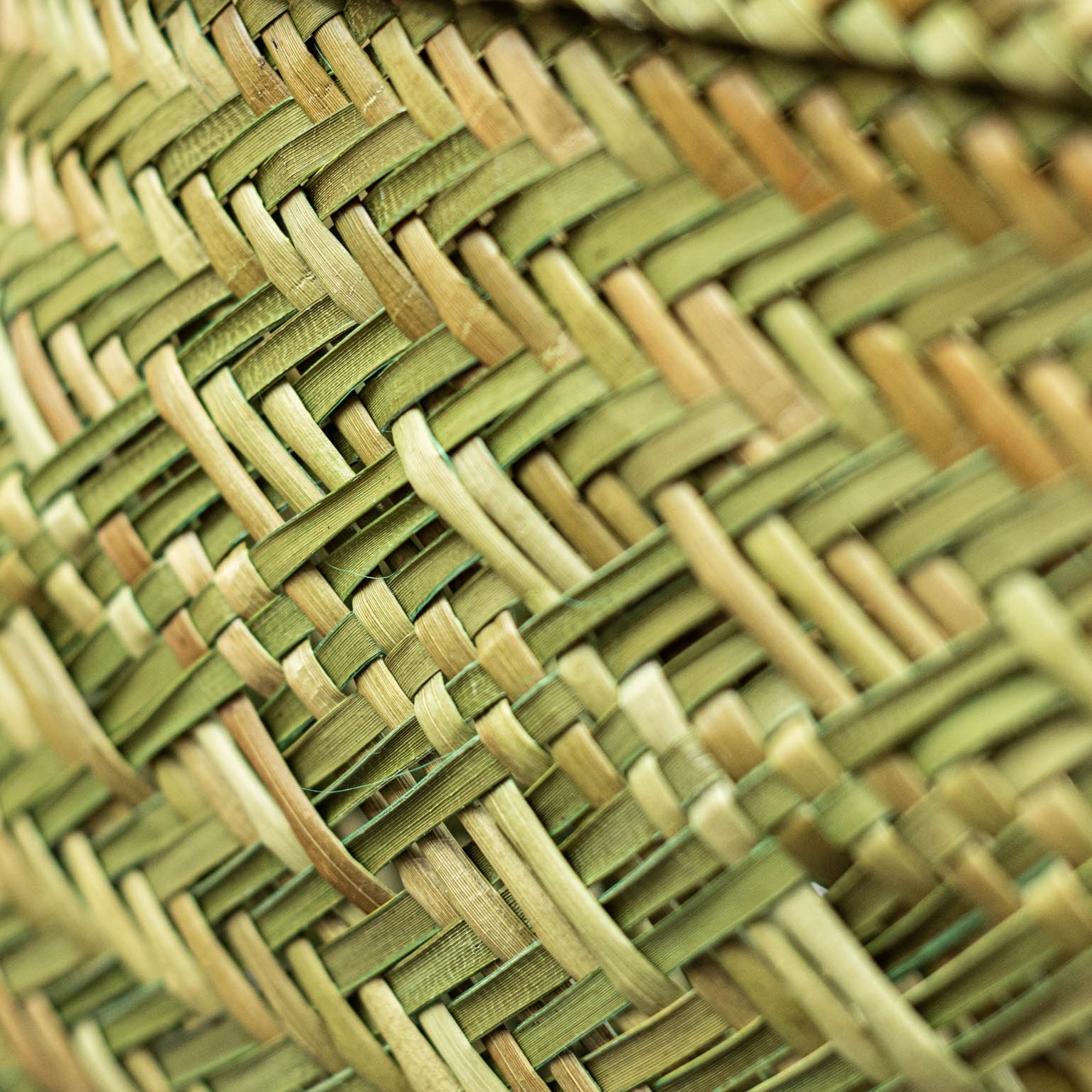 Te Whare Pora | Weaving