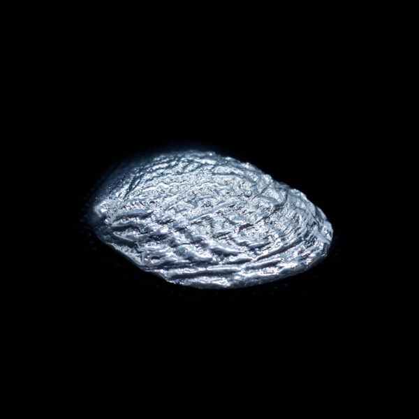 Shells - Image 3