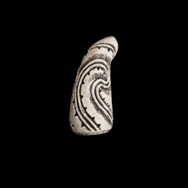 Nguru - Taratara a Kae