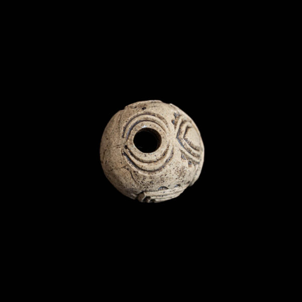 Pūtangitangi Iti - Putiputi