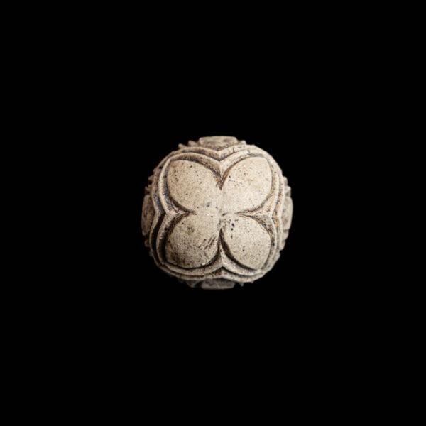 Pūtangitangi Iti - Putiputi