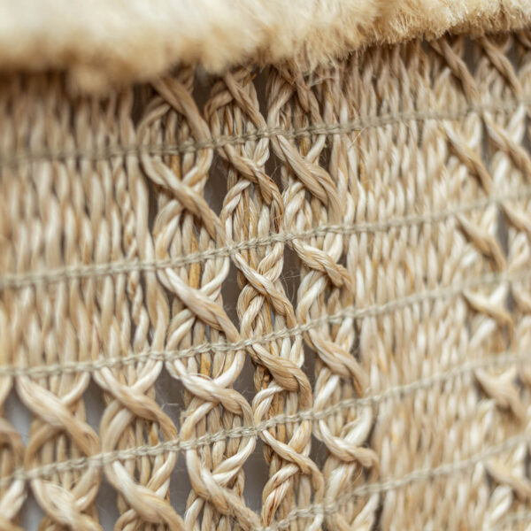 Rāpaki Whakapapa - Image 3
