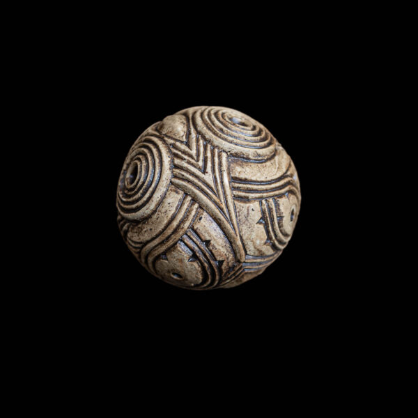 Pūtangitangi Nui - Whakahara - Image 3