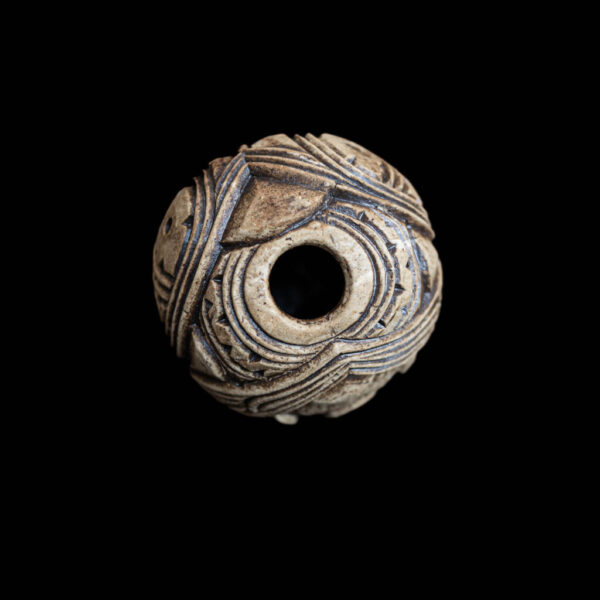 Pūtangitangi Nui - Whakahara