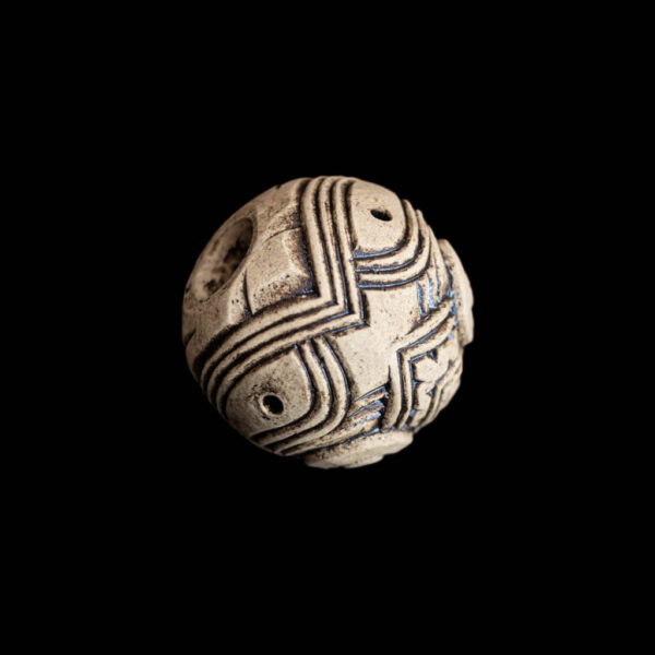 Pūtangitangi Waenga - Tōtara