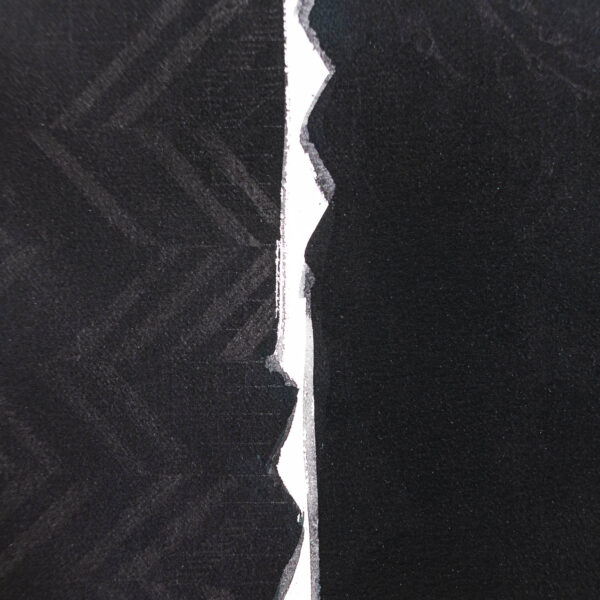 Te Manu Tū - Image 6
