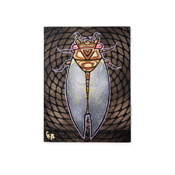 Desert Cicada