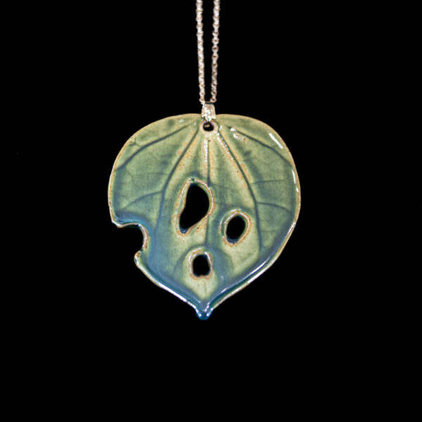 Kawakawa Rongoā Collection