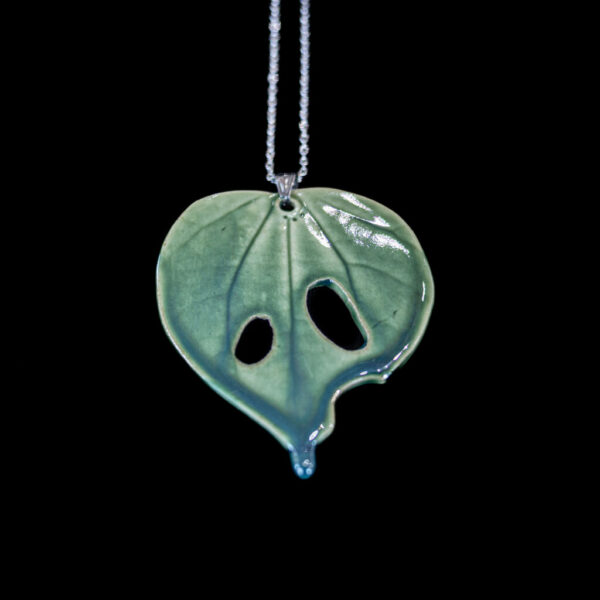 Kawakawa Rongoā Collection