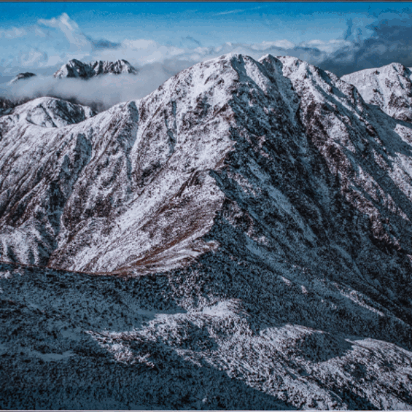 Mokoroa Matarau Print Series