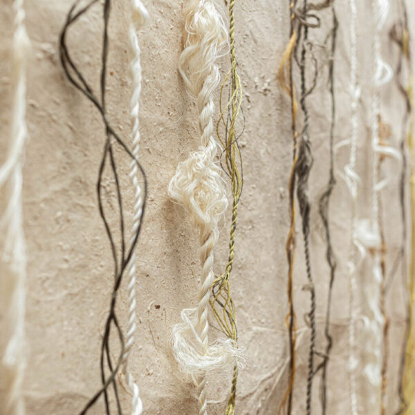 He Whenu Nō Te Kahu o Papa