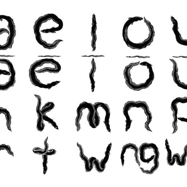 Te Ara Pū Māori A E I O U A2