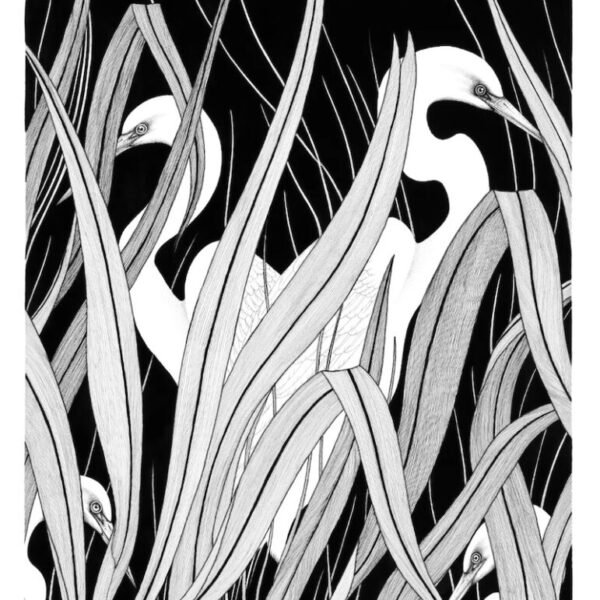 Screenshot Kōtuku by Rīhari Warnock