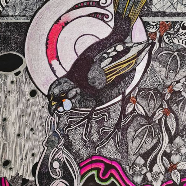 Te Kōkako