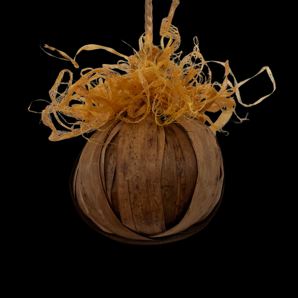 Poi Raupō o Te Ata - Taonga Pūoro, Instrument
