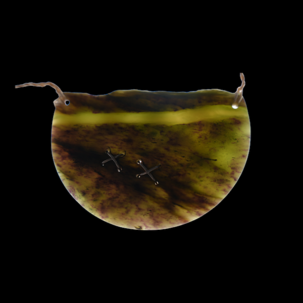 Pera-1.png Te Ara Hapopo - Pounamu Pendant
