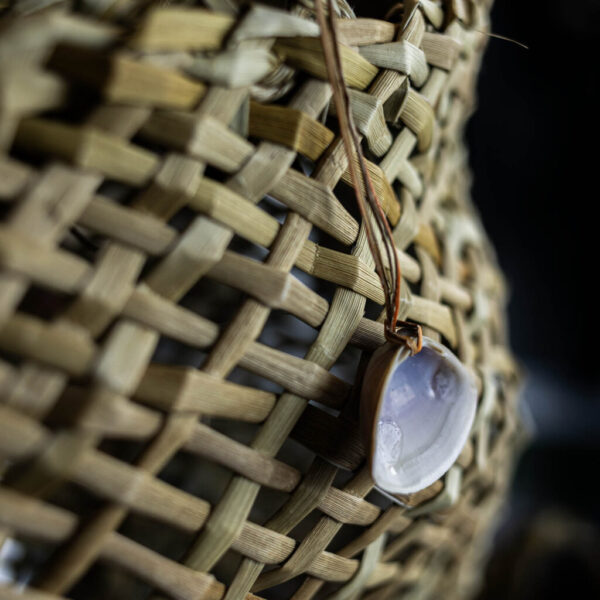 Kete Pipi o Kāpiti