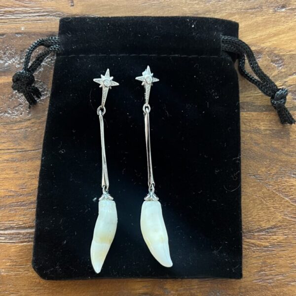 Pilot Whale teeth - Earrings 2/2