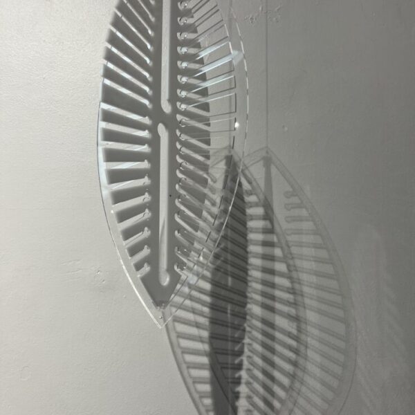 Diatom - Hanging Sculpture