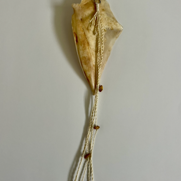 Whakakai Tāmure - Single Earring