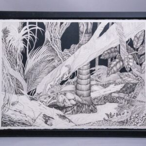 Te Papa o Te Ngāherehere - Drawing