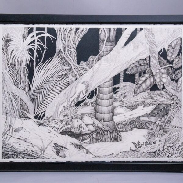 Te Papa o Te Ngāherehere - Drawing