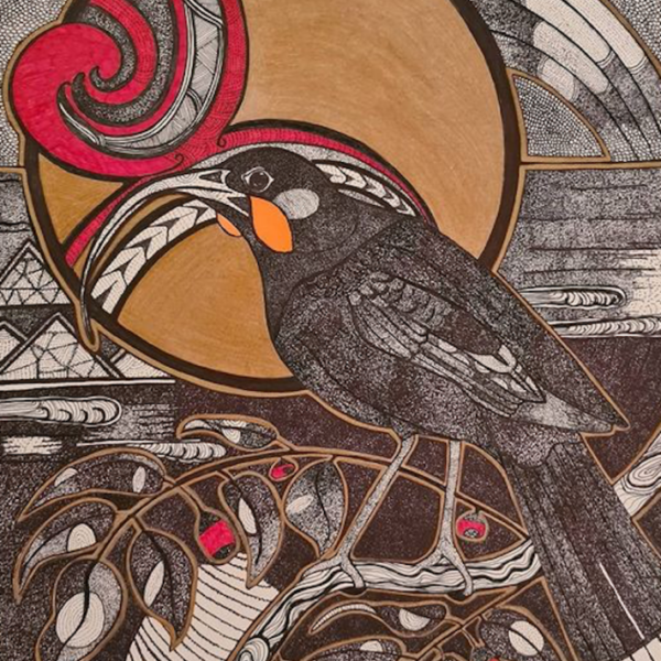 Huia Kaimanawa - Drawing